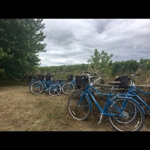 Meet your Posher, Celia